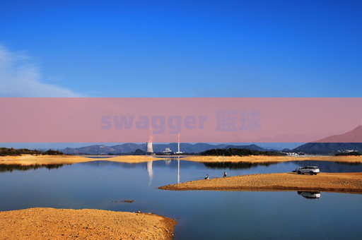 swagger 篮球